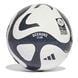 World Cup 2023 White/Navy
